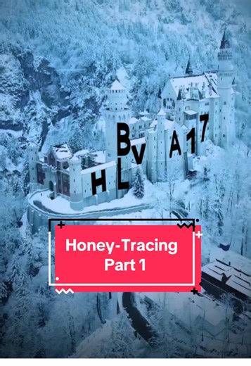 Exploring Honey-Tracing: A Chemical Journey