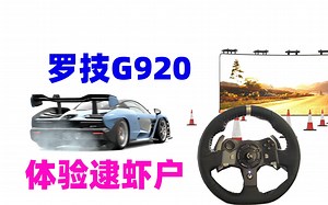 兄弟，要不要用罗技G920体验下逮虾户？