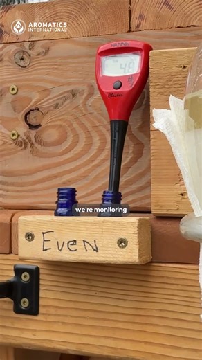 What Happens When Essential Oil Stills Start Boiling