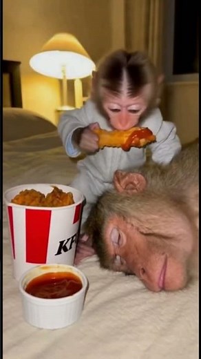 He just wanted his chicken 🤣#kfc #funny #fyp