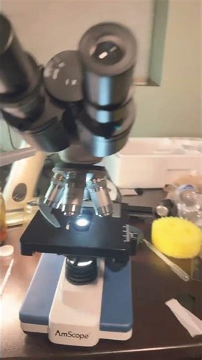 New microscope 🔬- amscope b120c #microscope #science