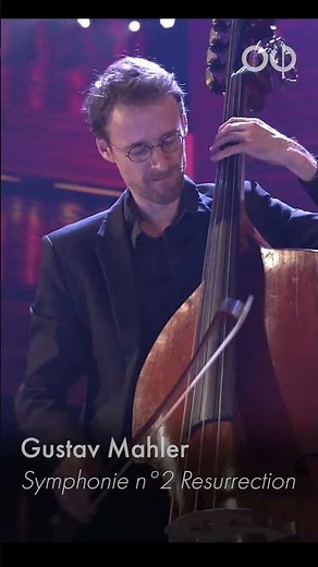 Yann Dubost, première contrebasse solo de l'Orchestre Philharmonique de Radio France