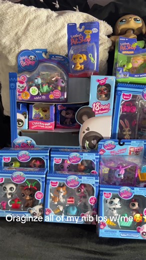 Organiza tu colección de LPS en un solo lugar