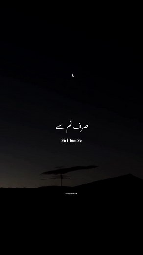 Hum Ko Pyar Hai Sirf Tum Se - Romantic Love Song