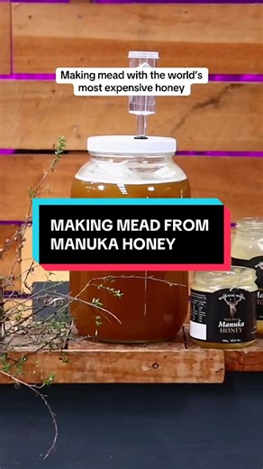 Still one of my favorite batches of mead made with manuka honey #mead #honey #onthisday
