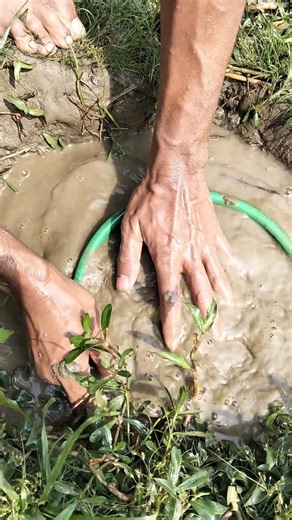 OMG 😲 BD Fishing part -2897