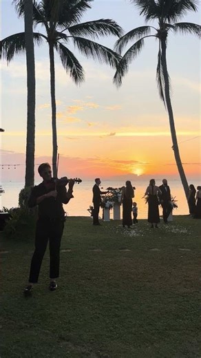 Is it possible to play “Dancing in the Moonlight” on the violin? 🎶