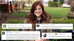 163K views · 5.3K reactions | Building a House on the New Land? How's the Garden Center Doing Right Now?  | Garden Answer | Facebook