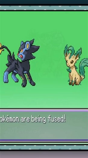 FEMBOY fundindo LUXRAY+ LEAFEON!