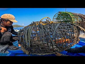 The small trap wins with even bigger catches!