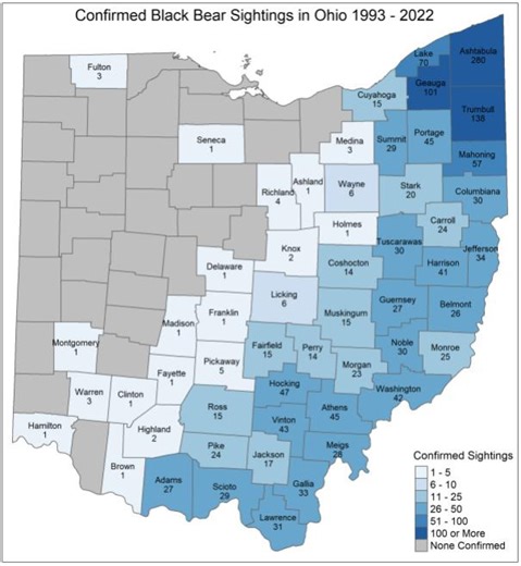 Black bears spotted in Ohio again. Here's where, how to stay safe