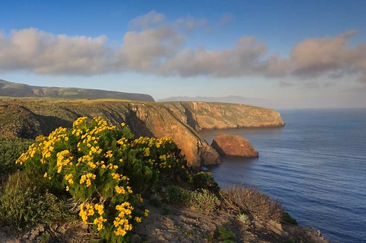 Santa Cruz Island - Channel Islands National Park (U.S. National Park Service)