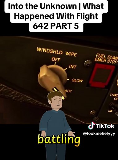 What Happened With Flight 642: The Crash of MD 11