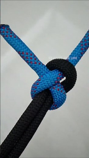 Sheet Bend | Essential Knot You Need To Know #knots