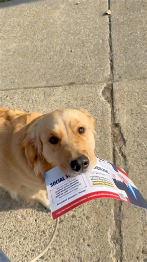 Momma’s little helper | Comet Olsen