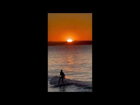 sunset on maple treeway 🥀 (Official Music Video)