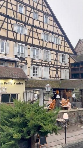 La Petite Venise 🇫🇷 Colmars märchenhaftester Blick 🐻🌉#colmar #frankreich