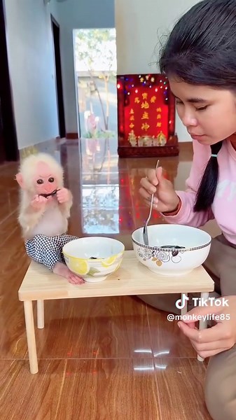 Cute baby doing hai breakfast on the task #monkey #foryoupage❤️ #baby #unitedkingdom