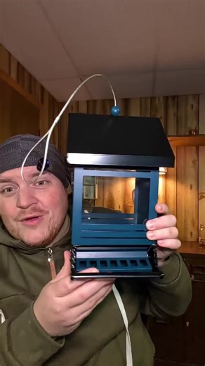 Essential Features of a Metal Bird Feeder