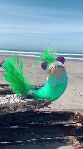 Celebrating MerMay with SmartyKat Mer Mouse Toy