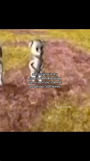 TheInternetGirlll | -Follow @theinternetgirlll for more content- #funnymemes #relatablecontent #theinternetgirlll #relatable #girlcontent | Instagram