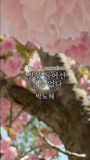 Park No-hae Poetry Recitation ASMR | There Is No Wrong Path | A Poem of Comfort to Wrap Up the Week