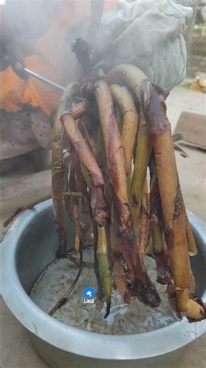 How to Cook Kachur Lati | Authentic Bengali Village Recipe #shorts #food