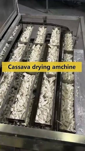 【Cassava Drying】Dried cassava chips processing machine
