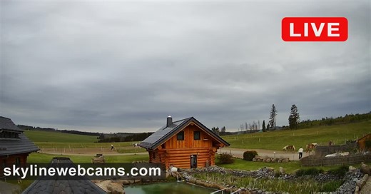 Webcam Tanne im Harz | SkylineWebcams