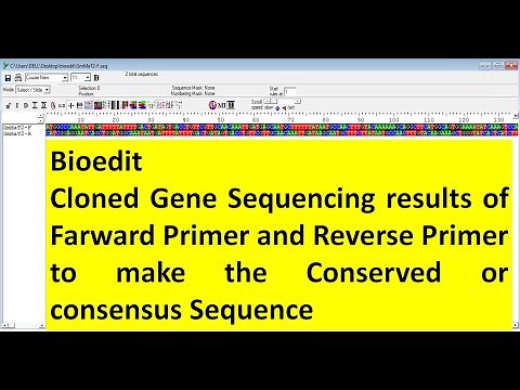 #Bioedit How to merged the sequence of farward and reverse primers sequencing result of the gene