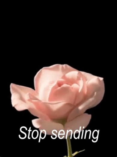 Stop sending letters. #radiohead #cigarretesafterxs #lyricsongs #motionpicturesoundtrack #mixedsongs