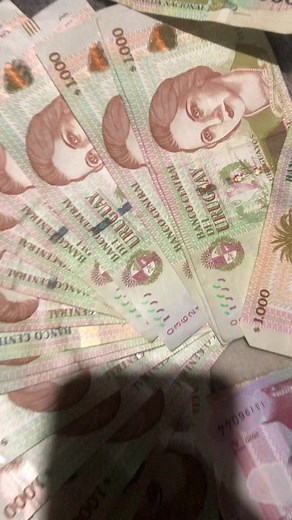 Exploring Colorful Banknotes and Unique Coins Collection