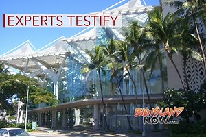Experts Testify at Hawaiʻi International Summit | Big Island Now