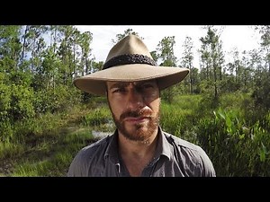 GoPro: Action Sports Star Saves Reptiles