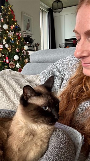 Saskia Parein - Communication Intuitive Animale on Instagram: "🐾 Ton animal ne parle pas ta langue… mais il te comprend souvent mieux que toi-même. Il ressent tes silences, tes « ça va » qui sonnent faux, tes sourires qui cachent la fatigue, tes respirations un peu trop rapides quand quelque chose te dépasse. Il capte ce que ton mental essaie de contrôler, ce que tu évites de regarder, même les émotions que tu ne t’avoues pas encore. Et malgré ça… il reste présent. Il s’approche, te touche, s’a