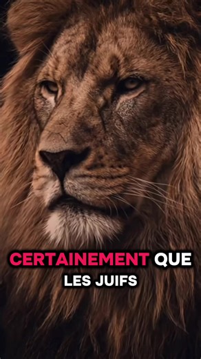 Récitation du Coran en Arabe et Français