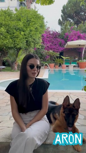 🐾Ciò che ci rende in assoluto più felici è sentire queste parole dai nostri clienti. Vedere che uno dei nostri cuccioli è così amato ci ripaga davvero di tutti i sacrifici. 🏡Un metodo di allevamento innovativo, il nostro, che ci porta ogni giorno a vendere esemplari eccezionali in tutto il mondo, con ottimi risultati e grandi soddisfazioni da parte di chi ci sceglie. E le parole che sentirete ne sono la conferma. 🏅Allevamento di Casa Falcone: il più recensito d’Italia. Per tutte le info sui c