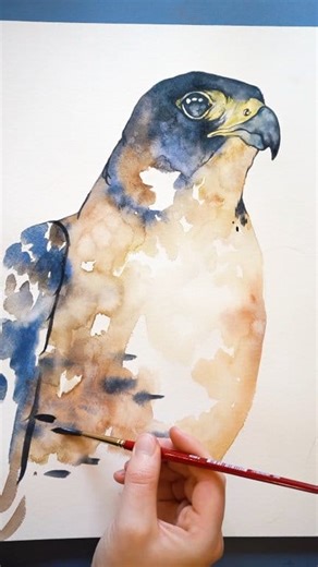 6.4K views · 228 reactions | Peregrine falcon watercolor painting | Painted Wing | Facebook