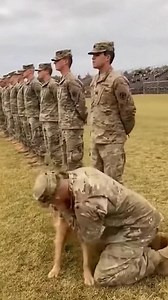 1.3M views · 7.4K reactions | Heartwarming Soldier-Dog Reunion Heartwarming Soldier-Dog Reunion #fblifestyle #AI Generated using Kling AI . . . (For entertainment purposes only. Consult professionals if guidance on activities is presented. No brand affiliation is implied if any are shown. If inspired by true events, creative adaptations may be included. Content may include public footage.) | Fabiosa Belle | Facebook