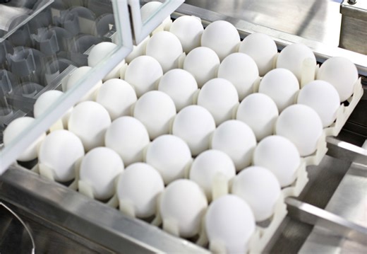 Another 3 million Lancaster County birds affected by avian flu