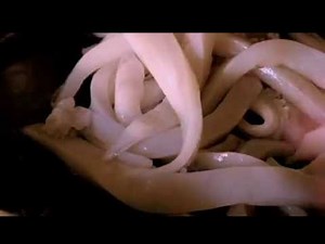 RECIPE | Cuttlefish Cooked in Ink