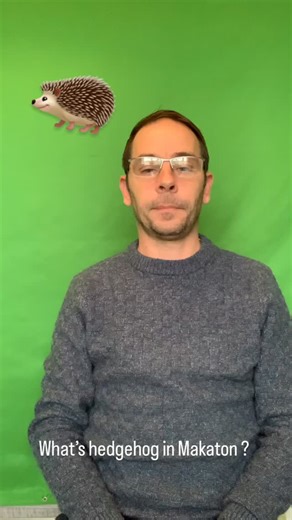 #makaton #sign #hedgehog #makatontutor | Fish Makaton Training