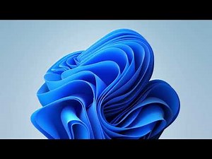 Windows 11 Bloom Animation