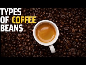 Types of Coffee Beans