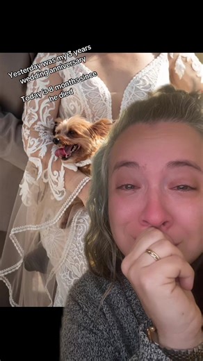 he was so happy to be there #greenscreen