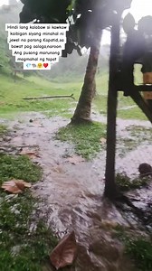 Puso ni Jewel: Kaibigan ng Lahat ng Nilalang