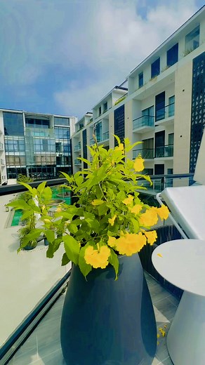 Most Beautiful Resort in Coxbazar ❤️🥰 Green Nature Resort and Suites | Anando Vlogs