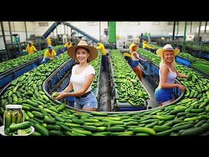 How Pickles Are Mass-Produced in Factories | Step by Step