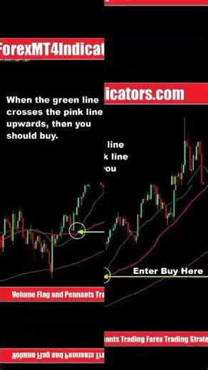 Volume Flag and Pennants Forex Trading Strategy