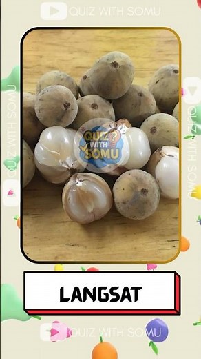 ​ ‪@QuizWithSomu‬ | Fruits You Can't Identify in 3 Seconds 😱 | Guess The Fruit